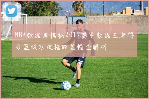 NBA数据库揭秘2017赛季数据王者得分篮板助攻抢断盖帽全解析
