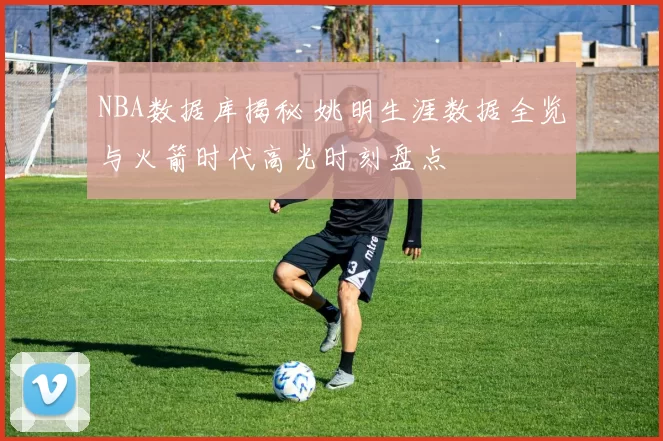 NBA数据库揭秘 姚明生涯数据全览与火箭时代高光时刻盘点