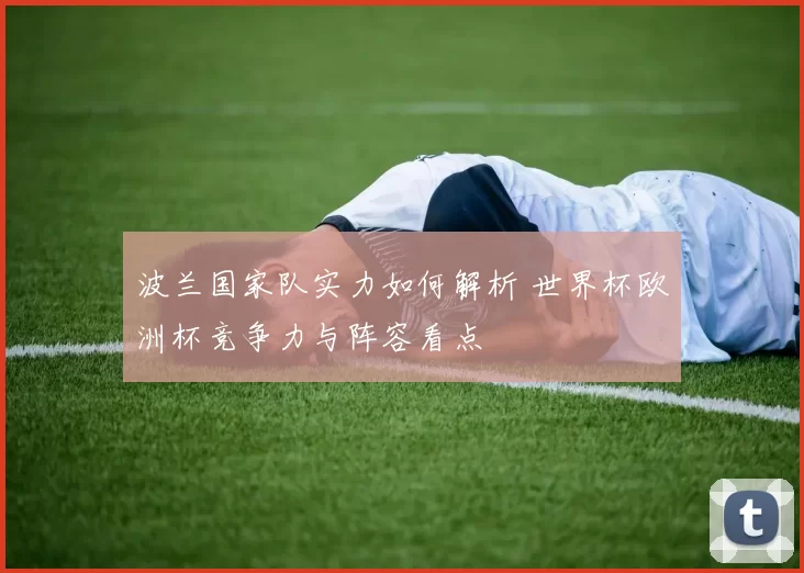 波兰国家队实力如何解析 世界杯欧洲杯竞争力与阵容看点