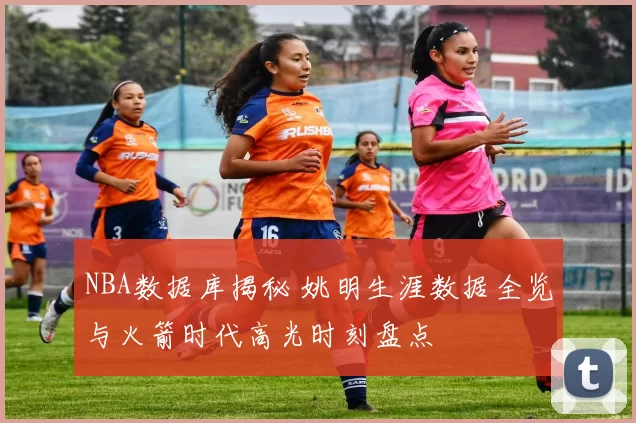 NBA数据库揭秘 姚明生涯数据全览与火箭时代高光时刻盘点
